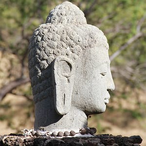 Art Buddha Head_square